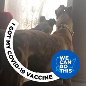 Meet your Posher, Dawn